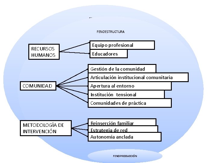 GENOESTRUCTURA FENOESTRUCTURA RECURSOS HUMANOS Equipo profesional Educadores Gestión de la comunidad Articulación institucional comunitaria