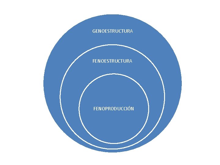 GENOESTRUCTURA FENOPRODUCCIÓN 