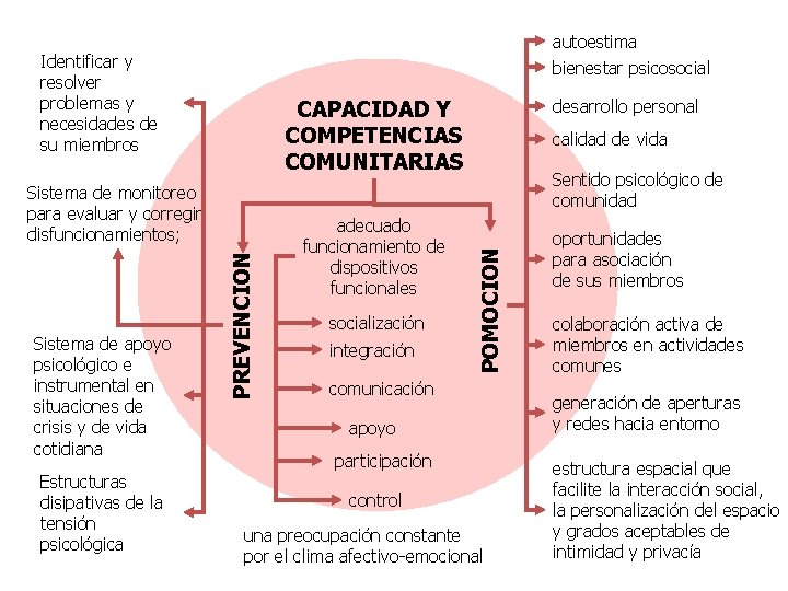 autoestima bienestar psicosocial Identificar y resolver problemas y necesidades de su miembros Estructuras disipativas