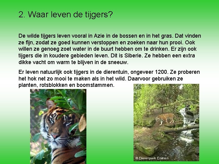 2. Waar leven de tijgers? De wilde tijgers leven vooral in Azie in de 2. Waar leven de tijgers? De wilde tijgers leven vooral in Azie in de