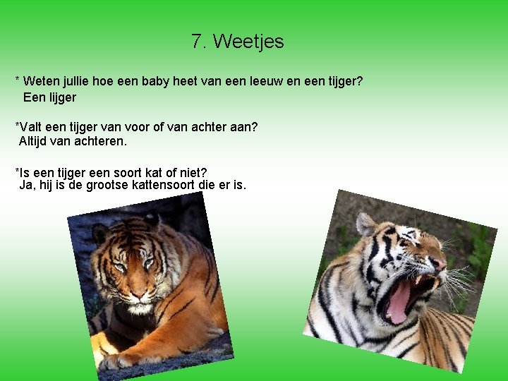 7. Weetjes * Weten jullie hoe een baby heet van een leeuw en een 7. Weetjes * Weten jullie hoe een baby heet van een leeuw en een