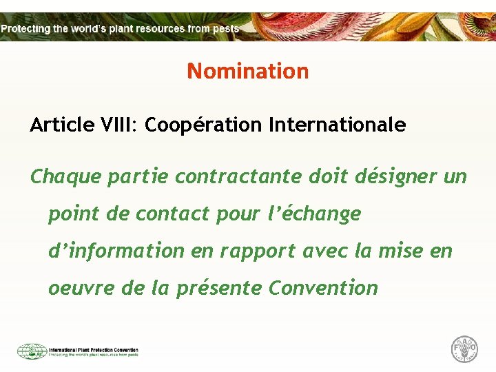 Nomination Article VIII: Coopération Internationale Chaque partie contractante doit désigner un point de contact