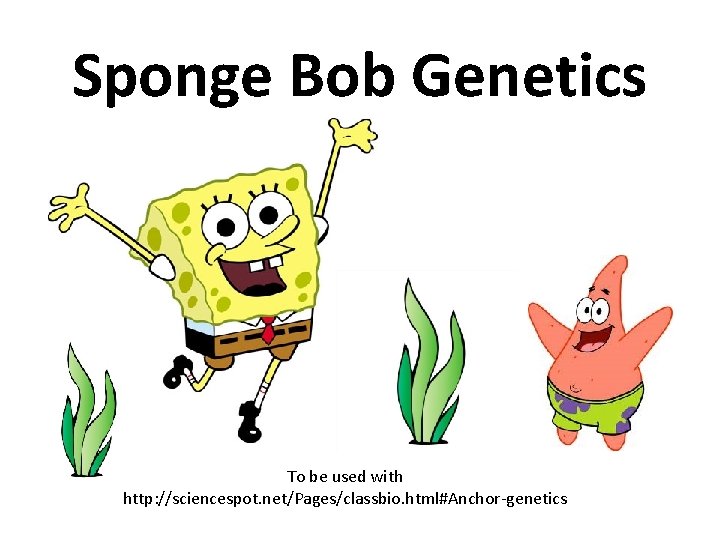 Sponge Bob Genetics I love Mr. V Class To be used with http: //sciencespot.