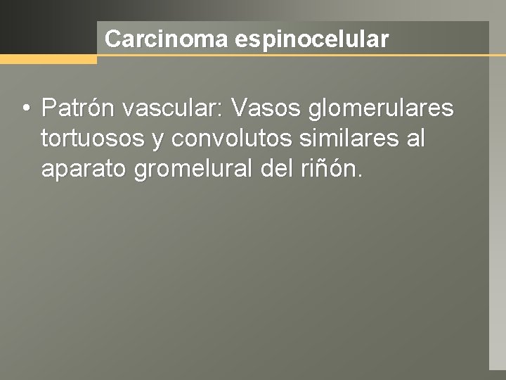 Carcinoma espinocelular • Patrón vascular: Vasos glomerulares tortuosos y convolutos similares al aparato gromelural