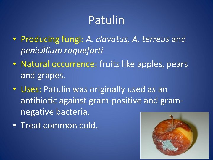 Patulin • Producing fungi: A. clavatus, A. terreus and penicillium roqueforti • Natural occurrence: