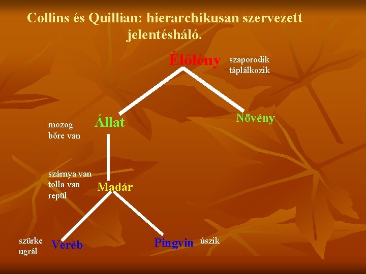 Collins és Quillian: hierarchikusan szervezett jelentésháló. Élőlény mozog bőre van szárnya van tolla van