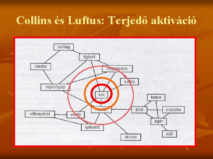 Collins és Luftus: Terjedő aktiváció 