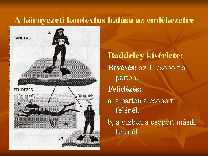 A környezeti kontextus hatása az emlékezetre Baddeley kísérlete: Bevésés: az 1. csoport a parton.