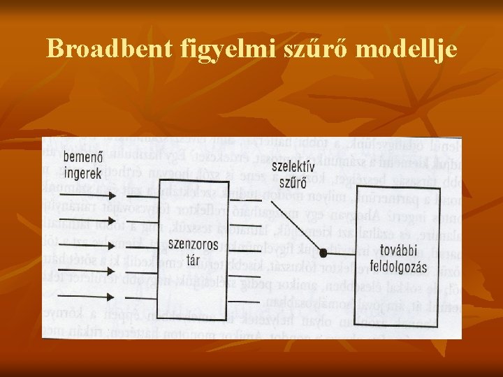 Broadbent figyelmi szűrő modellje 