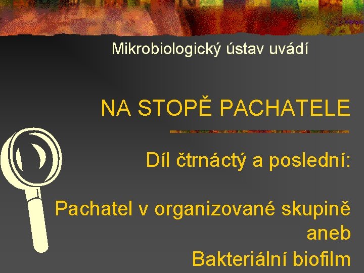 Mikrobiologický ústav uvádí NA STOPĚ PACHATELE L Díl čtrnáctý a poslední: Pachatel v organizované