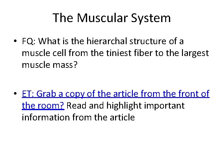 The Muscular System • FQ: What is the hierarchal structure of a muscle cell