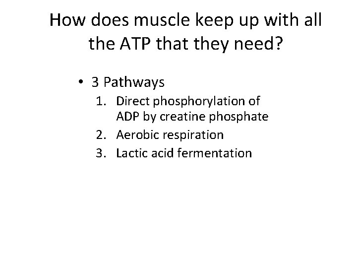 How does muscle keep up with all the ATP that they need? • 3