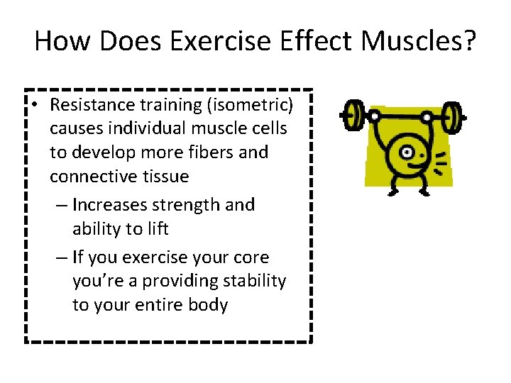 How Does Exercise Effect Muscles? • Resistance training (isometric) causes individual muscle cells to