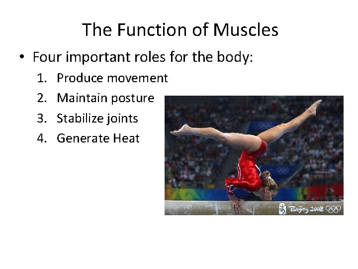 The Function of Muscles • Four important roles for the body: 1. 2. 3.