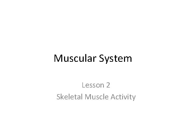 Muscular System Lesson 2 Skeletal Muscle Activity 
