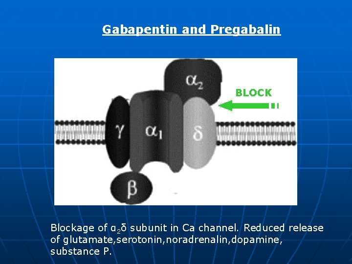 Gabapentin and Pregabalin BLOCK Blockage of α 2δ subunit in Ca channel. Reduced release