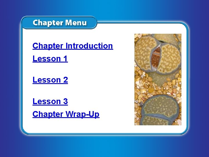 Chapter Introduction Lesson 1 Characteristics of Life Lesson 2 Classifying Organisms Chapter Wrap-Up Steven