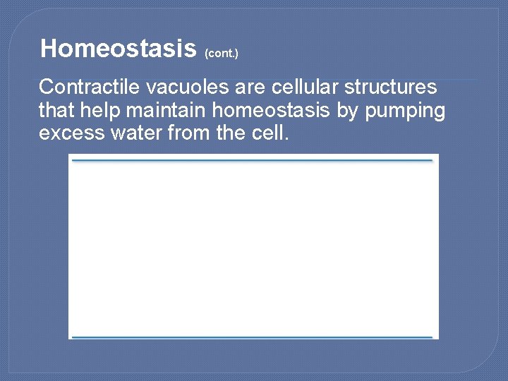 Homeostasis (cont. ) Contractile vacuoles are cellular structures that help maintain homeostasis by pumping