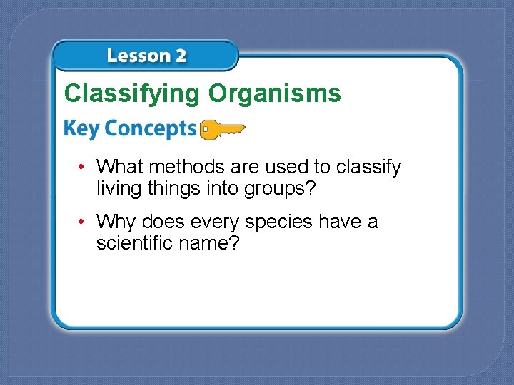 Classifying Organisms • What methods are used to classify living things into groups? •