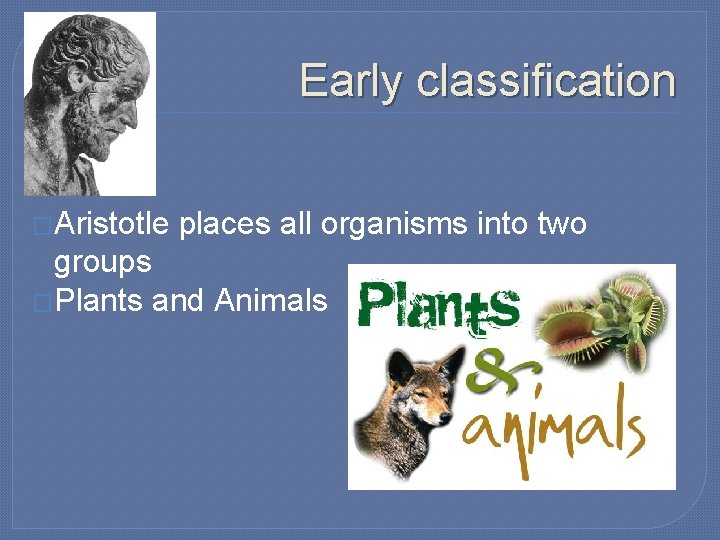 Early classification �Aristotle places all organisms into two groups �Plants and Animals 