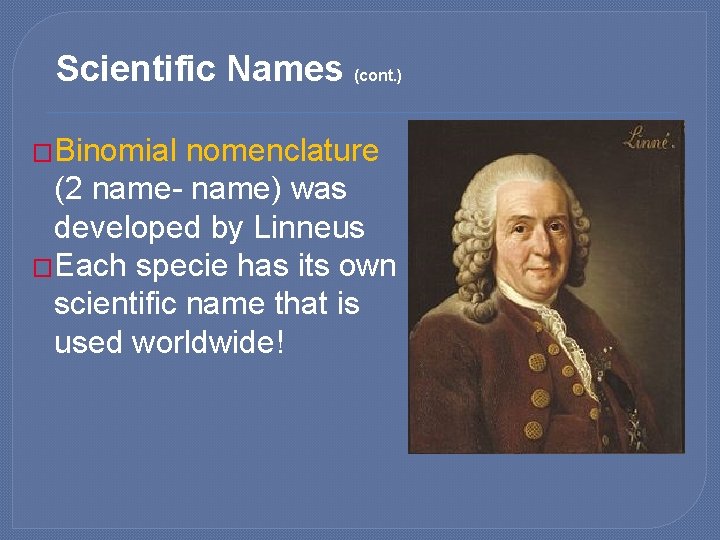 Scientific Names (cont. ) �Binomial nomenclature (2 name- name) was developed by Linneus �Each