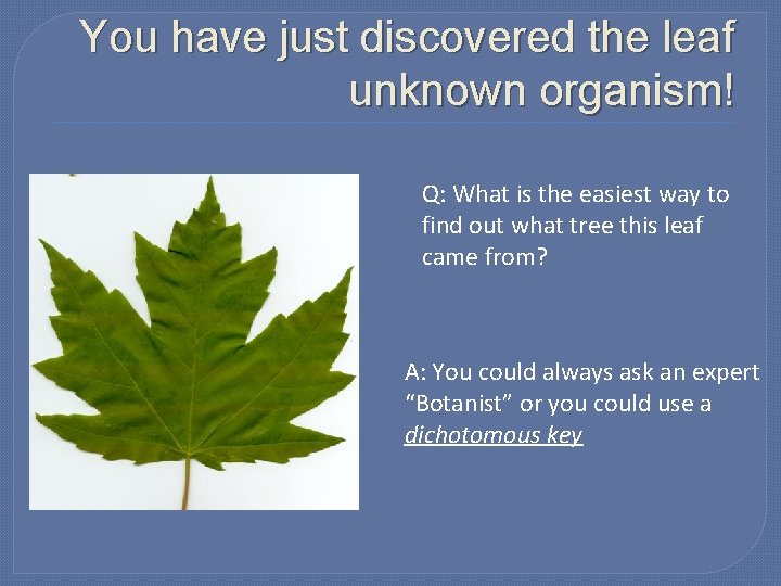 You have just discovered the leaf unknown organism! Q: What is the easiest way