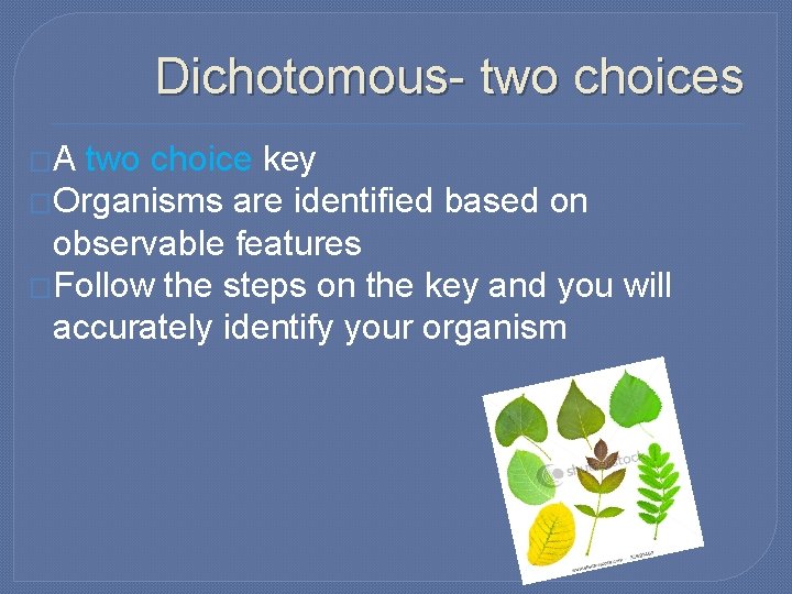 Dichotomous- two choices �A two choice key �Organisms are identified based on observable features