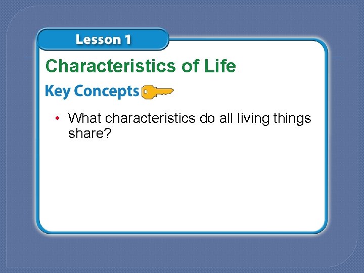 Characteristics of Life • What characteristics do all living things share? 