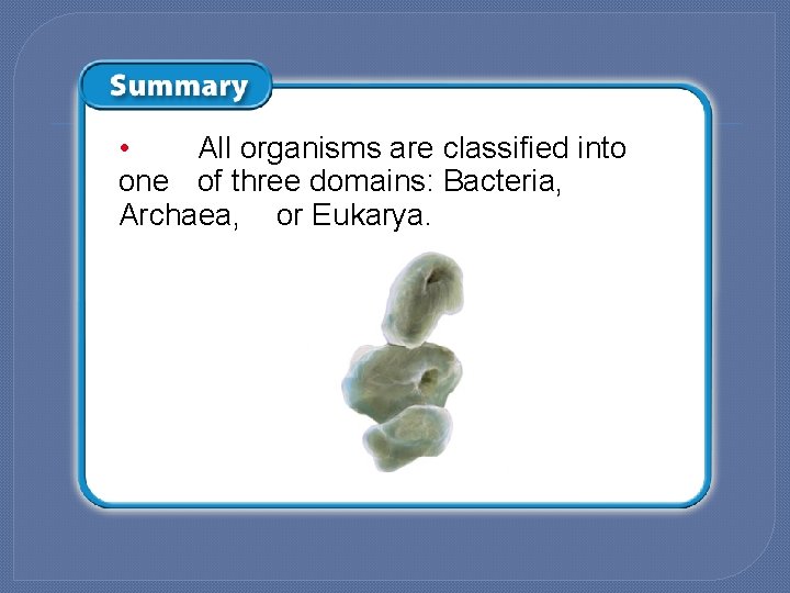  • All organisms are classified into one of three domains: Bacteria, Archaea, or