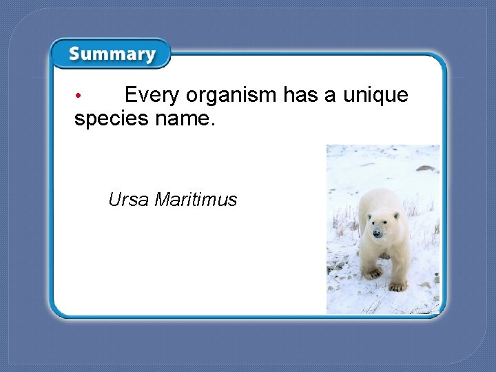 Every organism has a unique species name. • Ursa Maritimus 