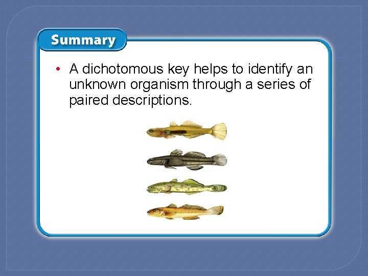  • A dichotomous key helps to identify an unknown organism through a series