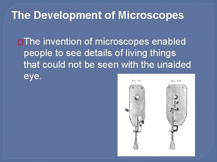 The Development of Microscopes �The invention of microscopes enabled people to see details of