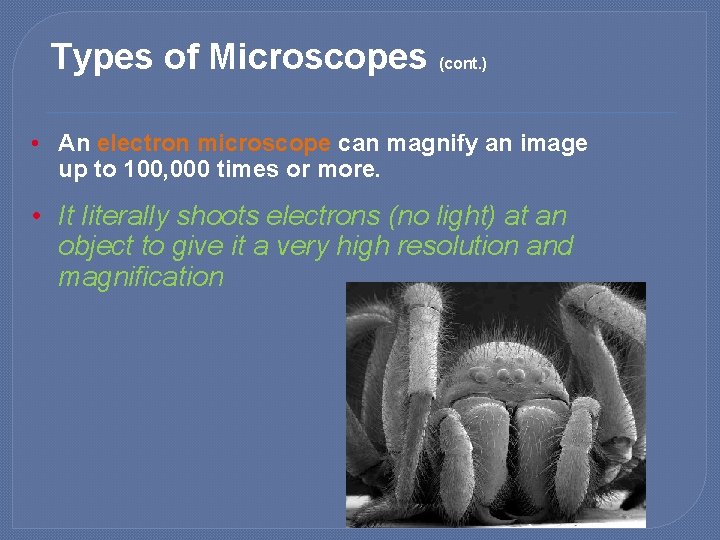 Types of Microscopes (cont. ) • An electron microscope can magnify an image up