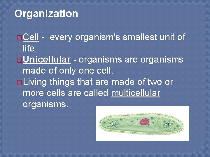 Organization �Cell - every organism’s smallest unit of life. �Unicellular - organisms are organisms