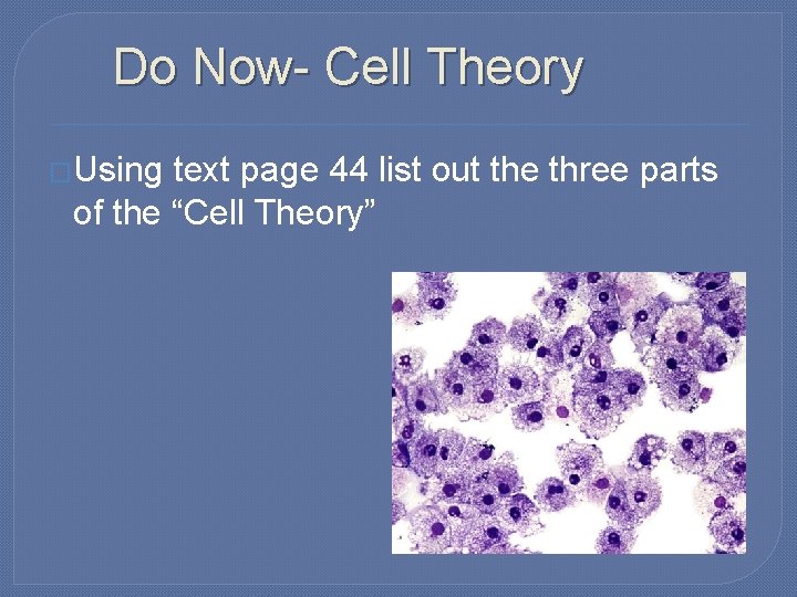 Do Now- Cell Theory �Using text page 44 list out the three parts of