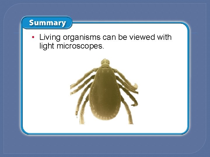  • Living organisms can be viewed with light microscopes. U. S. National Tick