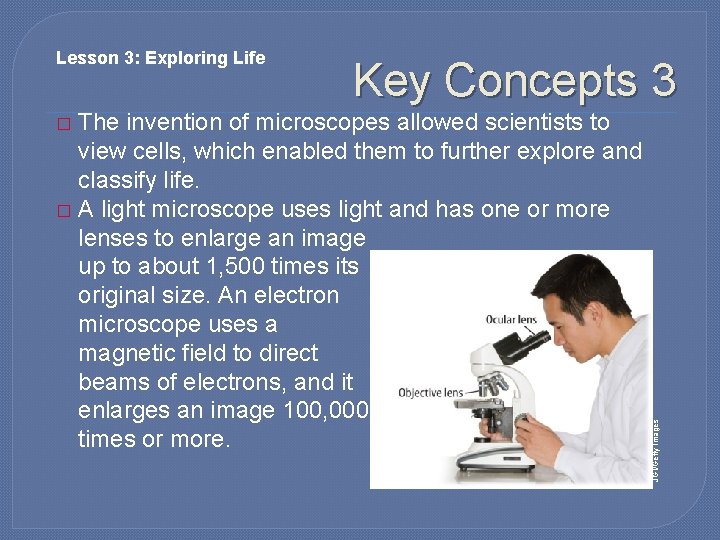 Lesson 3: Exploring Life Key Concepts 3 The invention of microscopes allowed scientists to