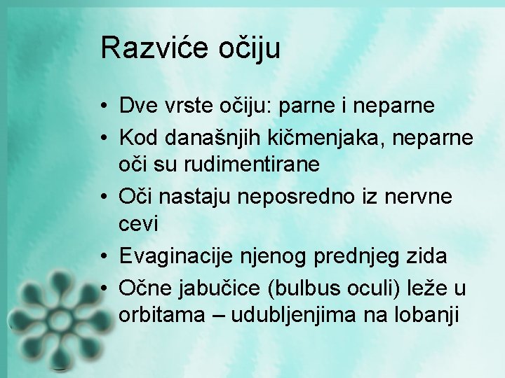 Razviće očiju • Dve vrste očiju: parne i neparne • Kod današnjih kičmenjaka, neparne Razviće očiju • Dve vrste očiju: parne i neparne • Kod današnjih kičmenjaka, neparne