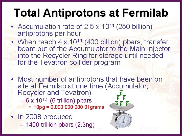 Total Antiprotons at Fermilab • Accumulation rate of 2. 5 x 1011 (250 billion)