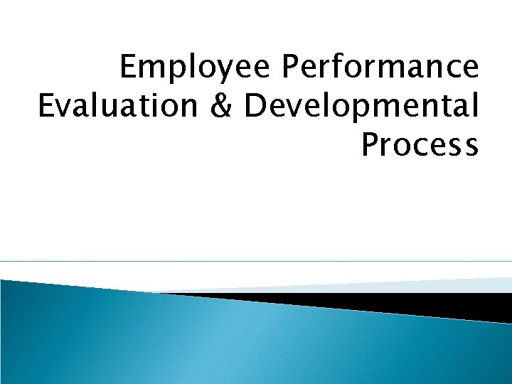 Employee Performance Evaluation & Developmental Process 
