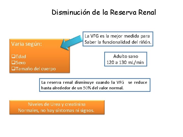 Disminución de la Reserva Renal Varia según: La VFG es la mejor medida para Disminución de la Reserva Renal Varia según: La VFG es la mejor medida para