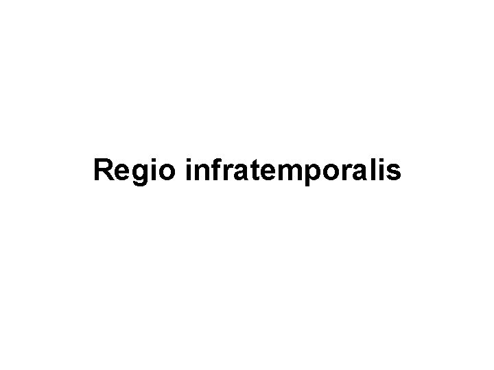 Regio infratemporalis 