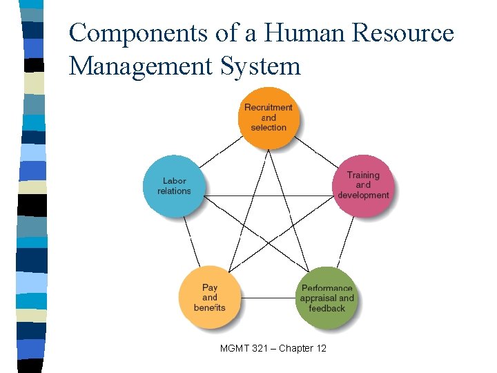 Components of a Human Resource Management System MGMT 321 – Chapter 12 