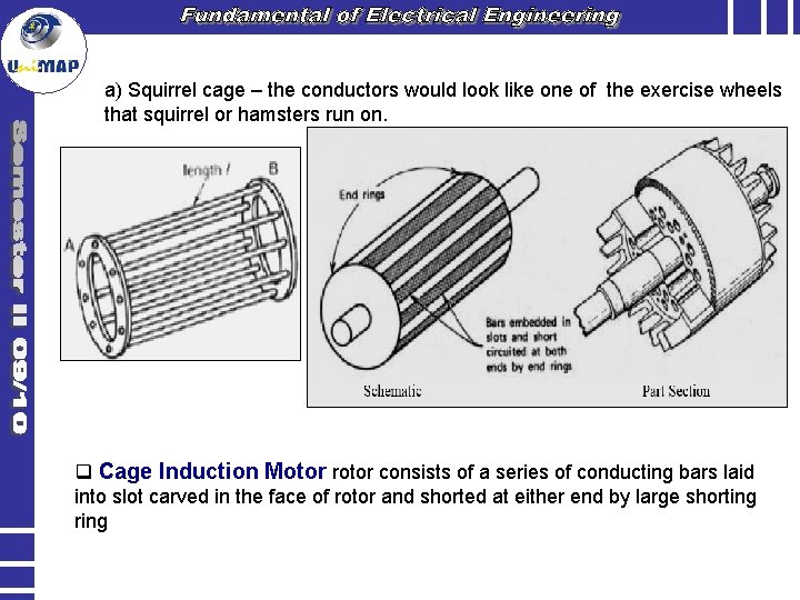 a) Squirrel cage – the conductors would look like one of the exercise wheels