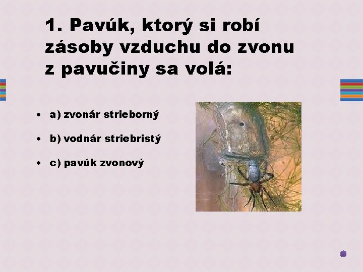 1. Pavúk, ktorý si robí zásoby vzduchu do zvonu z pavučiny sa volá: a)