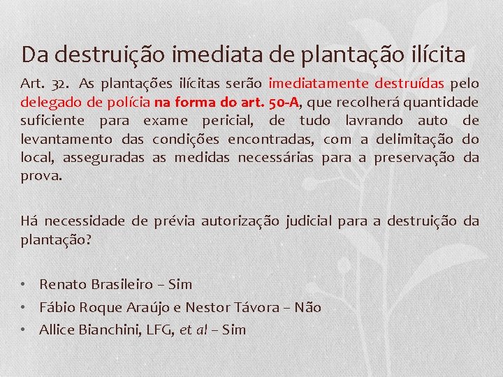 Da destruição imediata de plantação ilícita Art. 32. As plantações ilícitas serão imediatamente destruídas