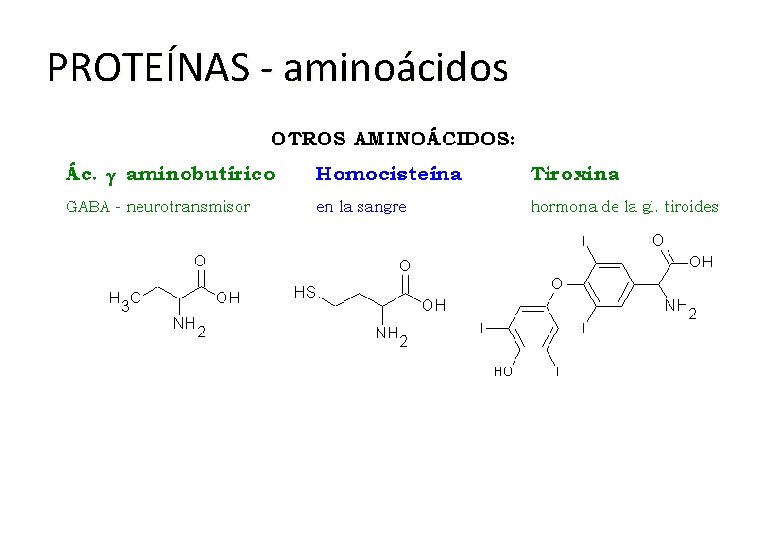 PROTEÍNAS - aminoácidos 