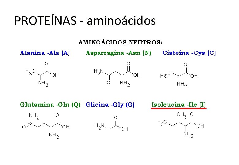 PROTEÍNAS - aminoácidos 