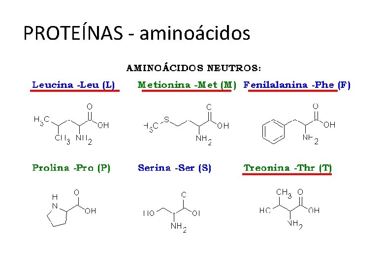 PROTEÍNAS - aminoácidos 