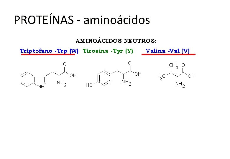 PROTEÍNAS - aminoácidos 